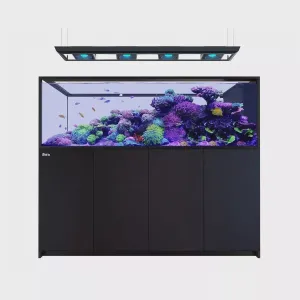 Red Sea Reefer Peninsula G2 Max S-950 Black