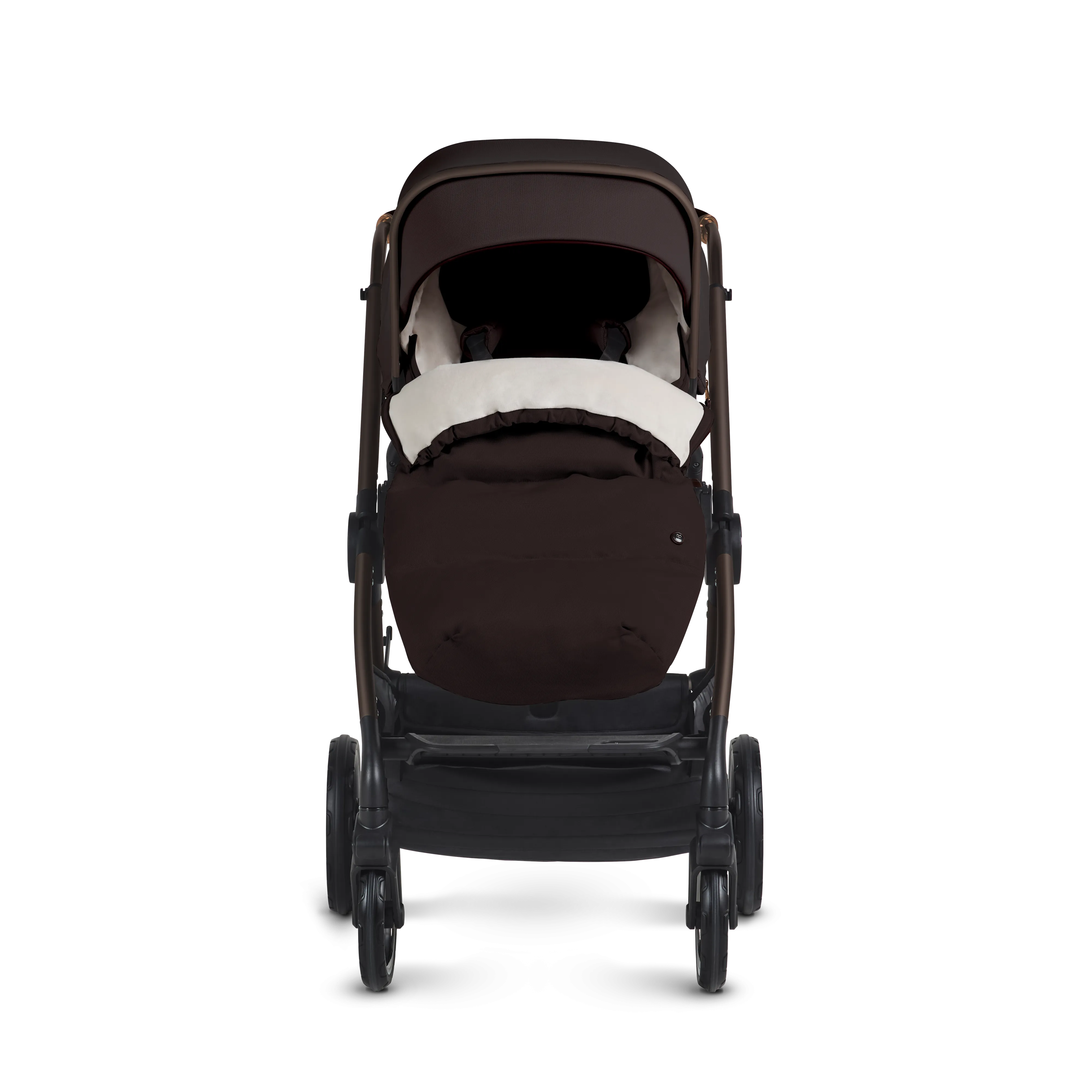 REEF 2 SPECIAL EDITION ULTIMATE MOTION BUNDLE