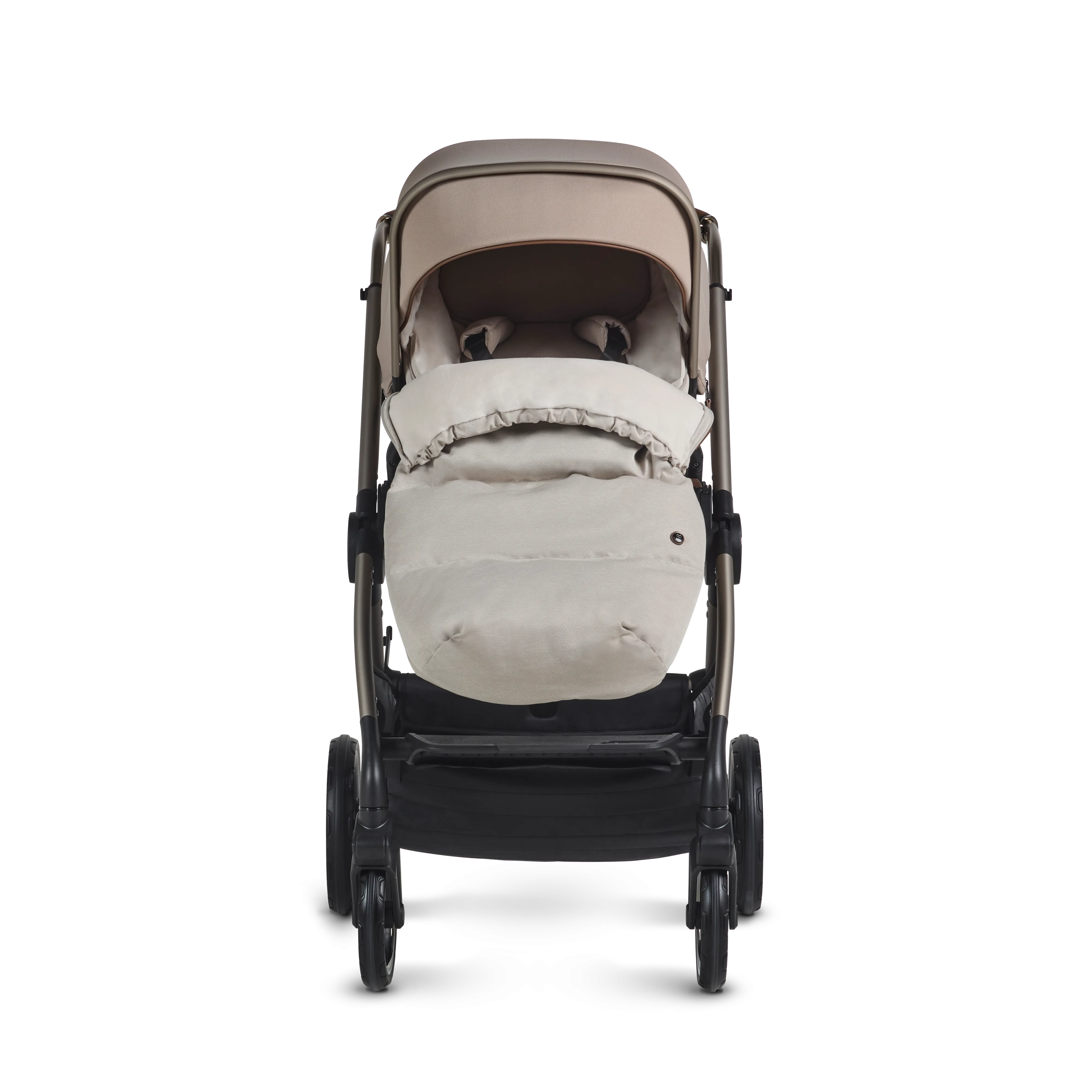 REEF 2 SPECIAL EDITION ULTIMATE MOTION BUNDLE
