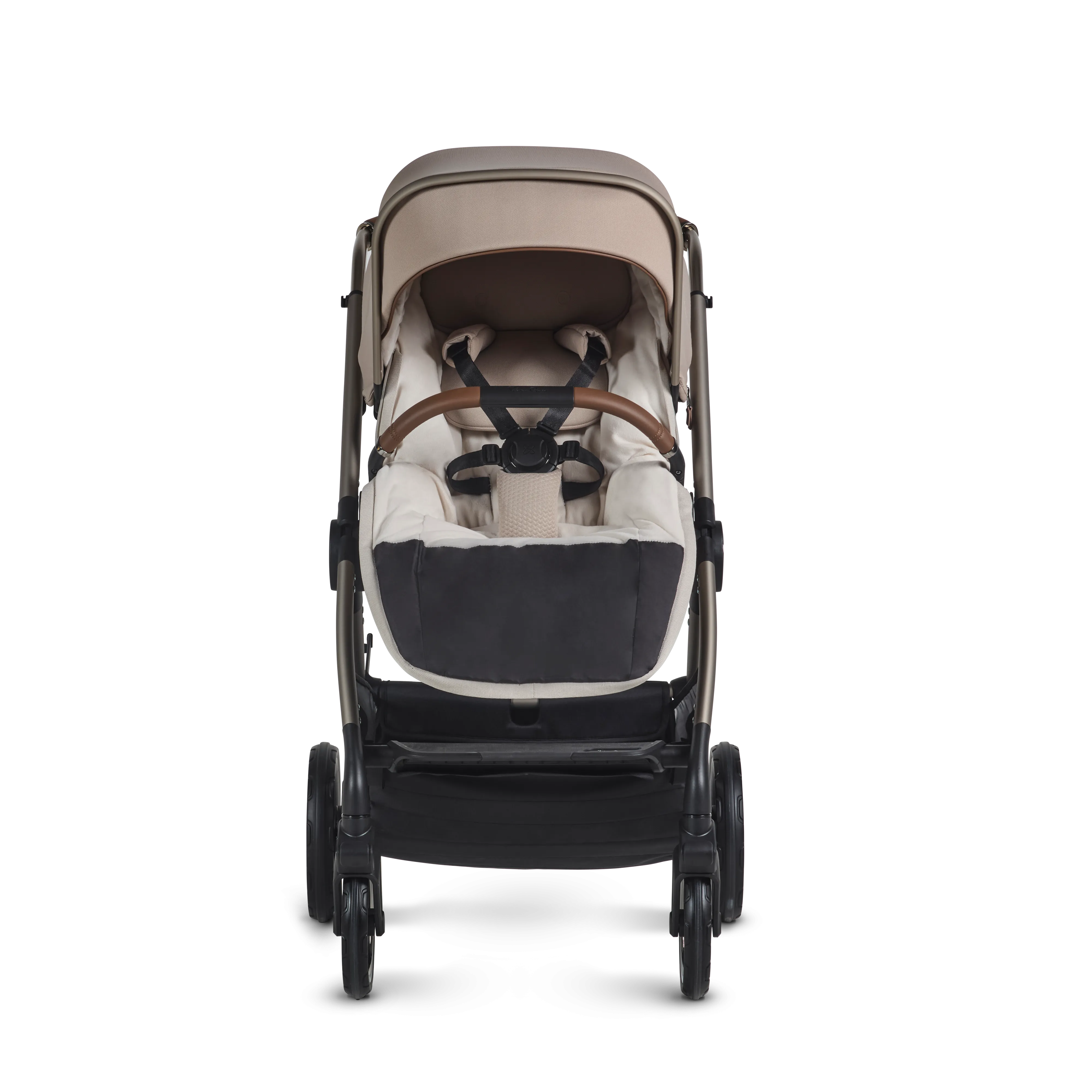 REEF 2 SPECIAL EDITION ULTIMATE MOTION BUNDLE