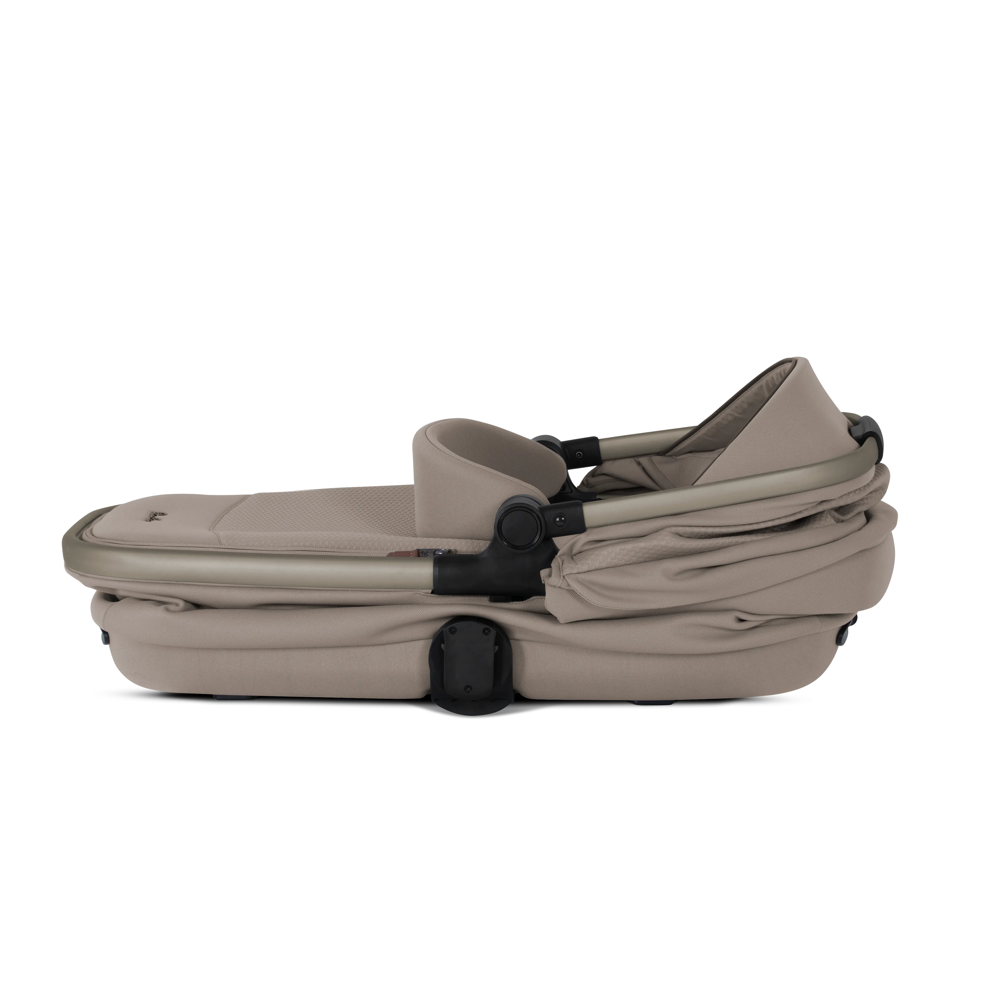 REEF 2 SPECIAL EDITION ULTIMATE MOTION BUNDLE
