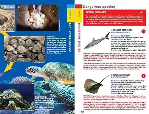 Reef Smart Guides Bonaire: Scuba Dive. Snorkel. Surf. (Best Netherlands' Bonaire Diving Spots, Scuba Diving Travel Guide)