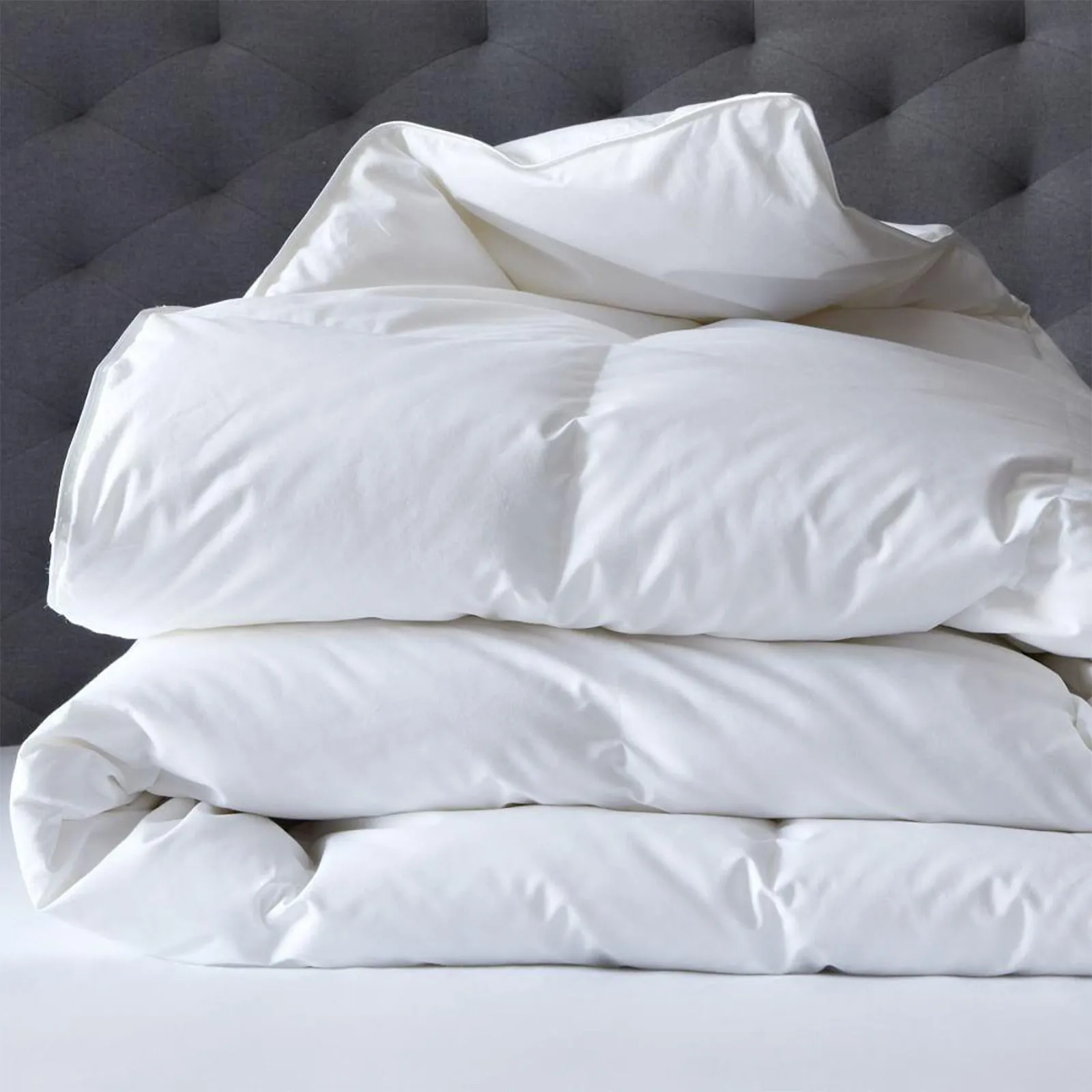 Renee Taylor 400 GSM Luxury All Season Thermaloft Microfiber Quilt