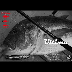 Ripple Fisher Ultimo 2019