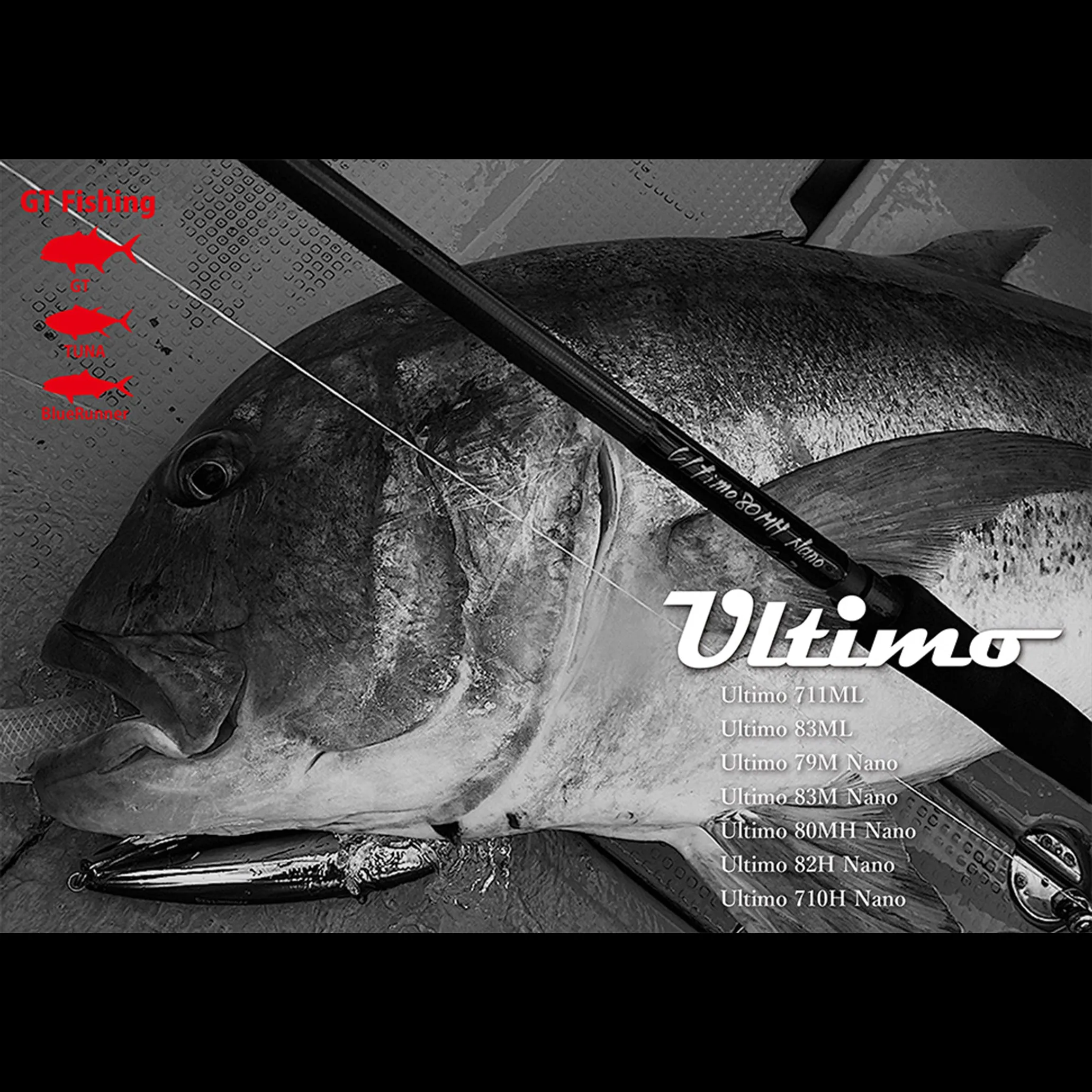 Ripple Fisher Ultimo 2019