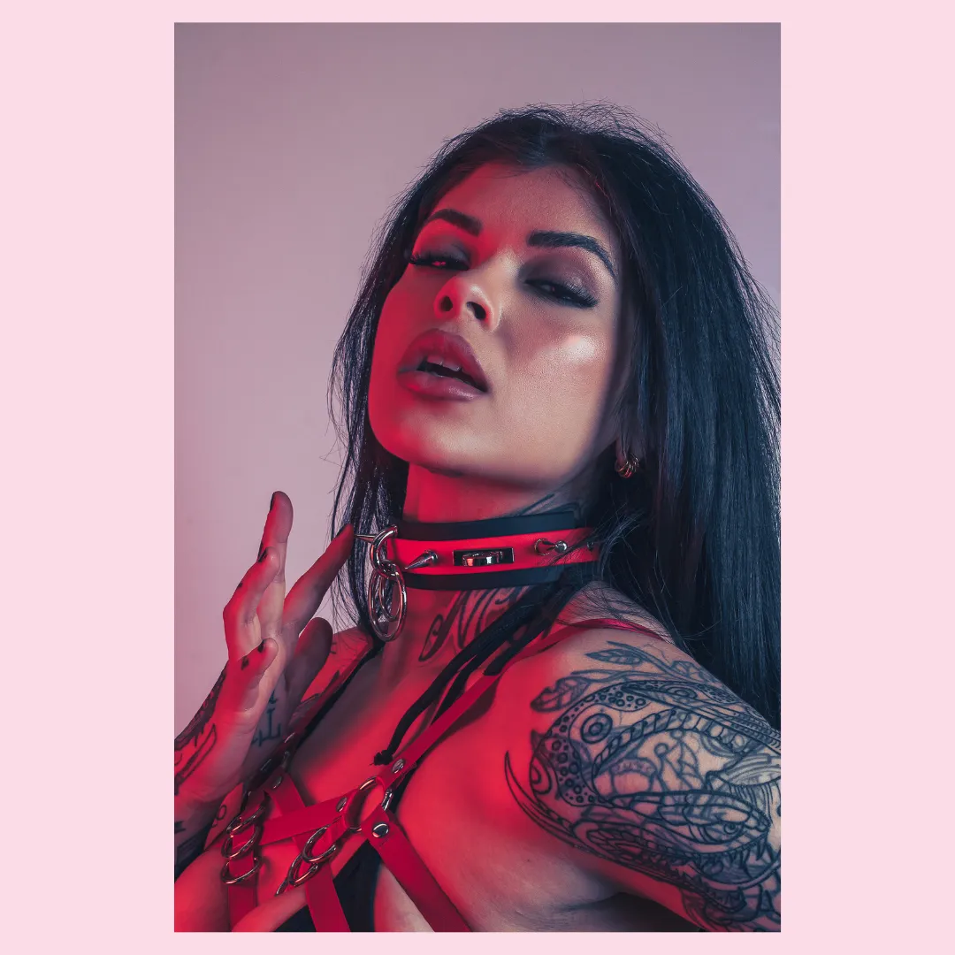 Saturn biothane or leather collar