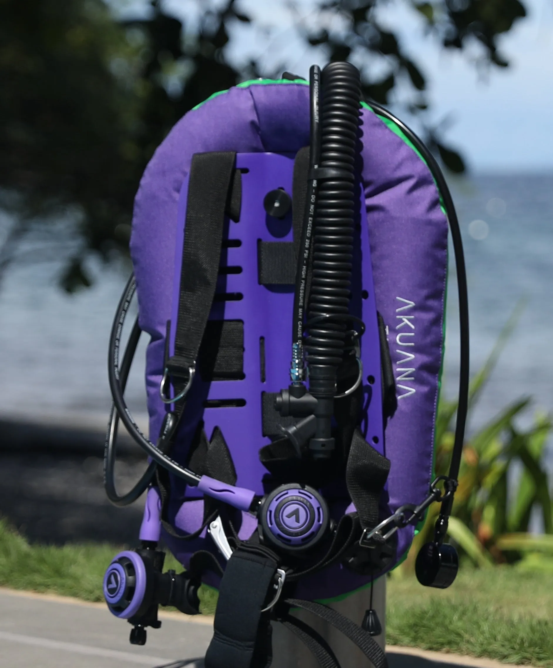 Seal 25/30 lbs Carbon single tank BCD set