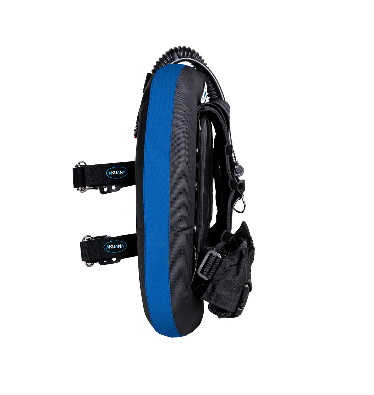 Seal 30 lbs standard SS BCD set