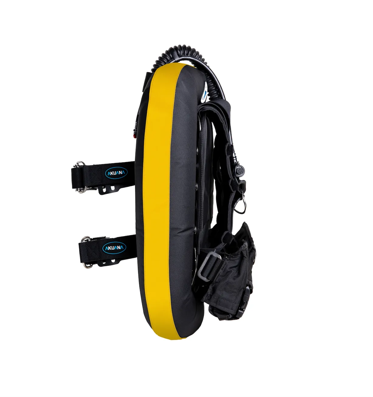 Seal 30 lbs standard SS BCD set