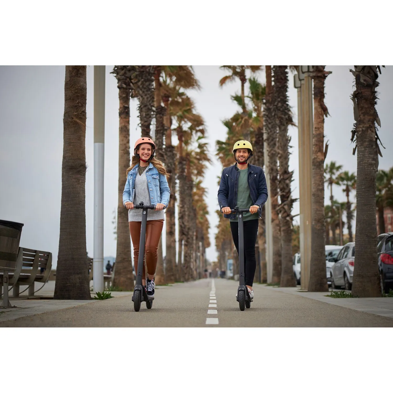 Segway Ninebot KickScooter E22 Electric Scooter