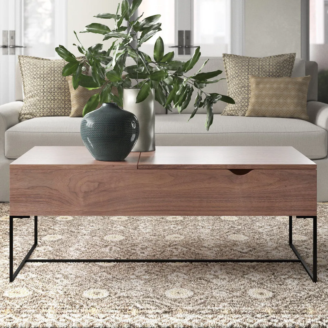 Shayna Lift Top Frame Coffee Table with Storage Joss & Main