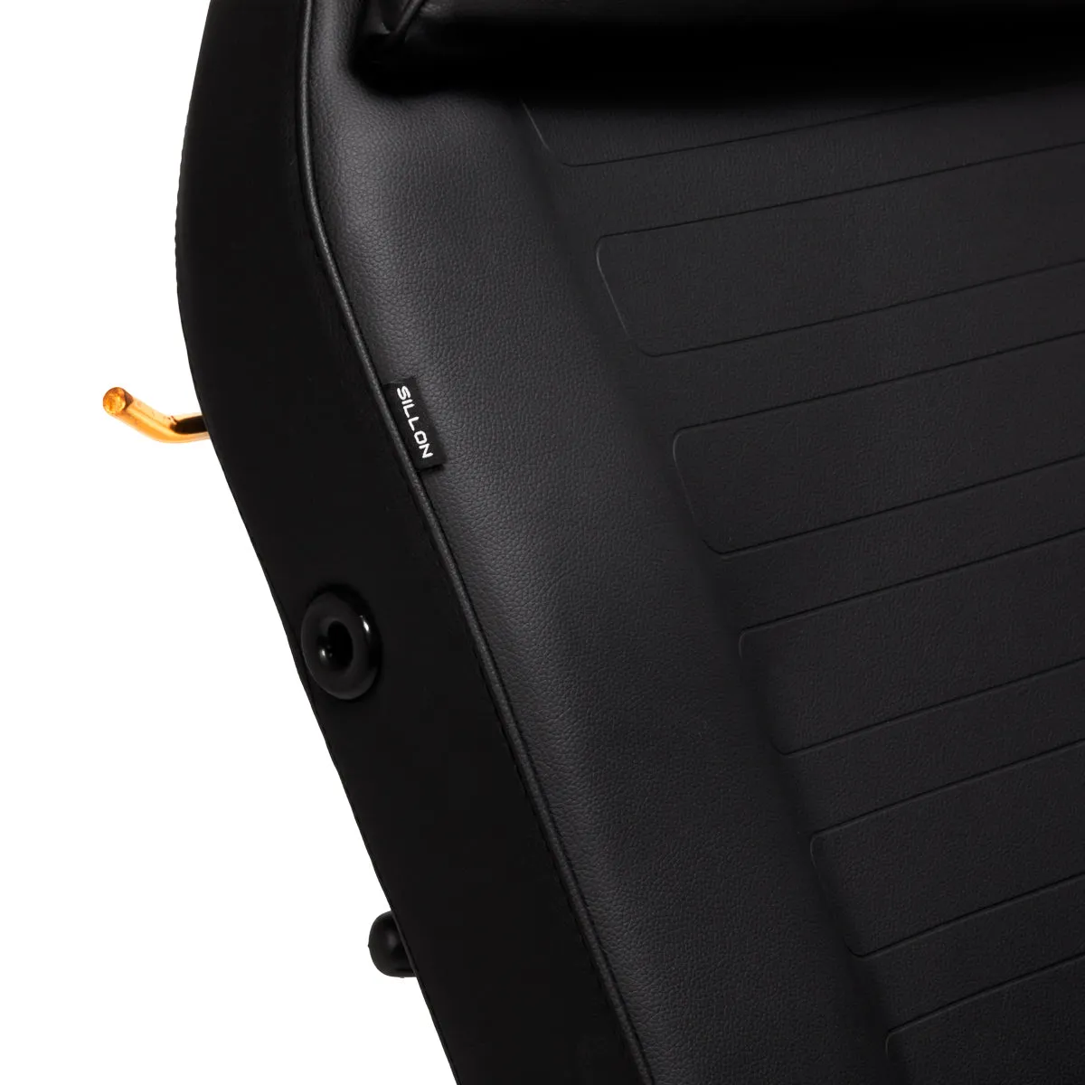 Sillon Beauty Salon Chair 202 Gold Pro Black