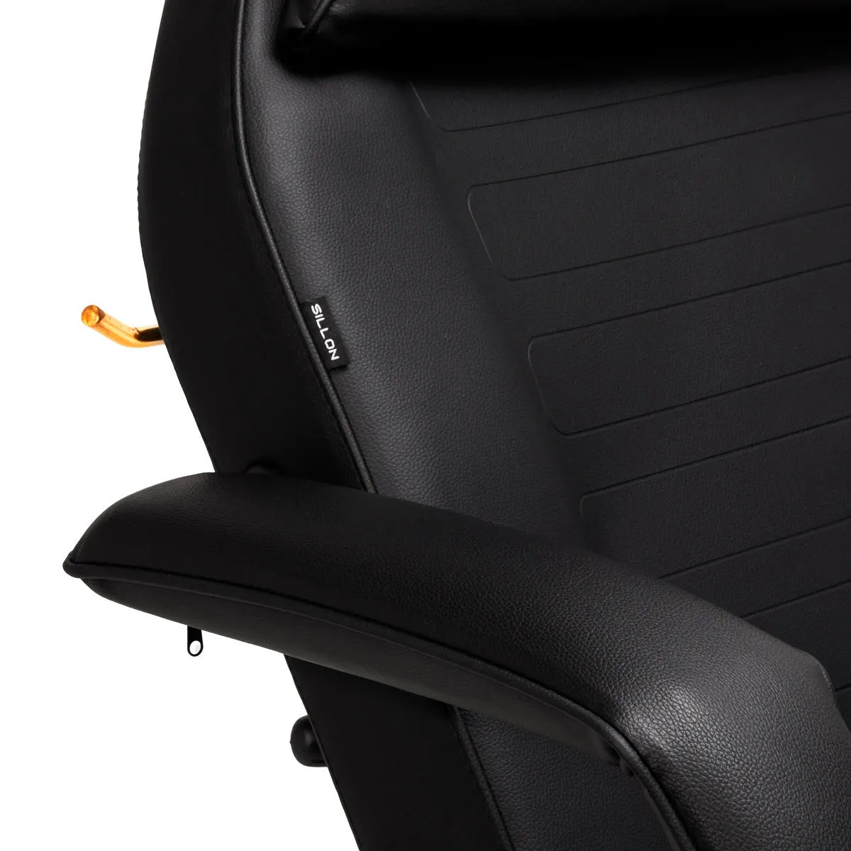 Sillon Beauty Salon Chair 202 Gold Pro Black