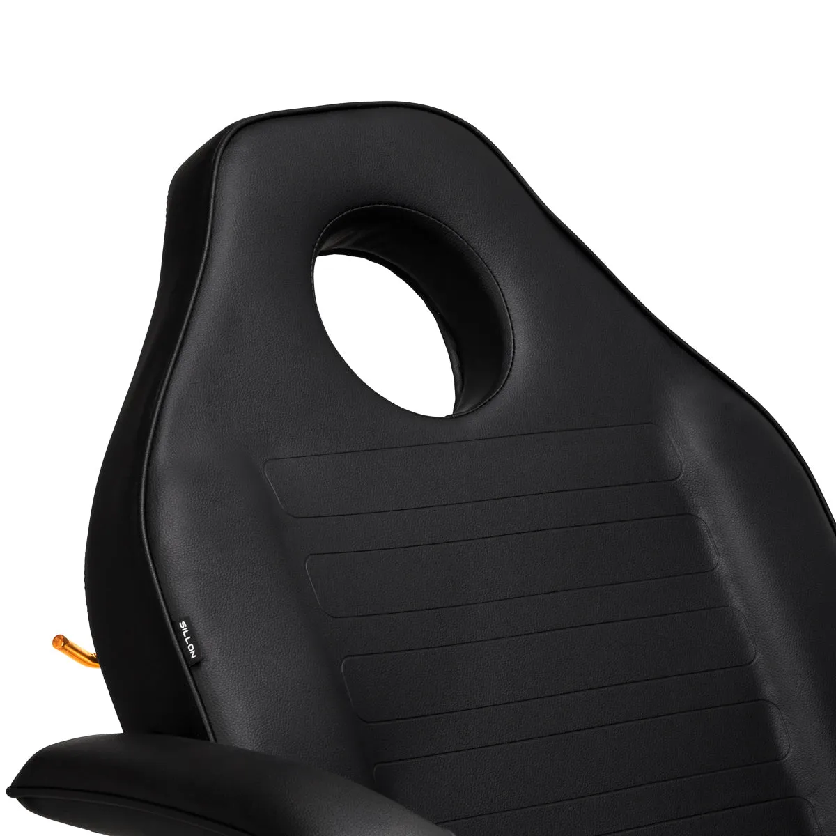 Sillon Beauty Salon Chair 202 Gold Pro Black