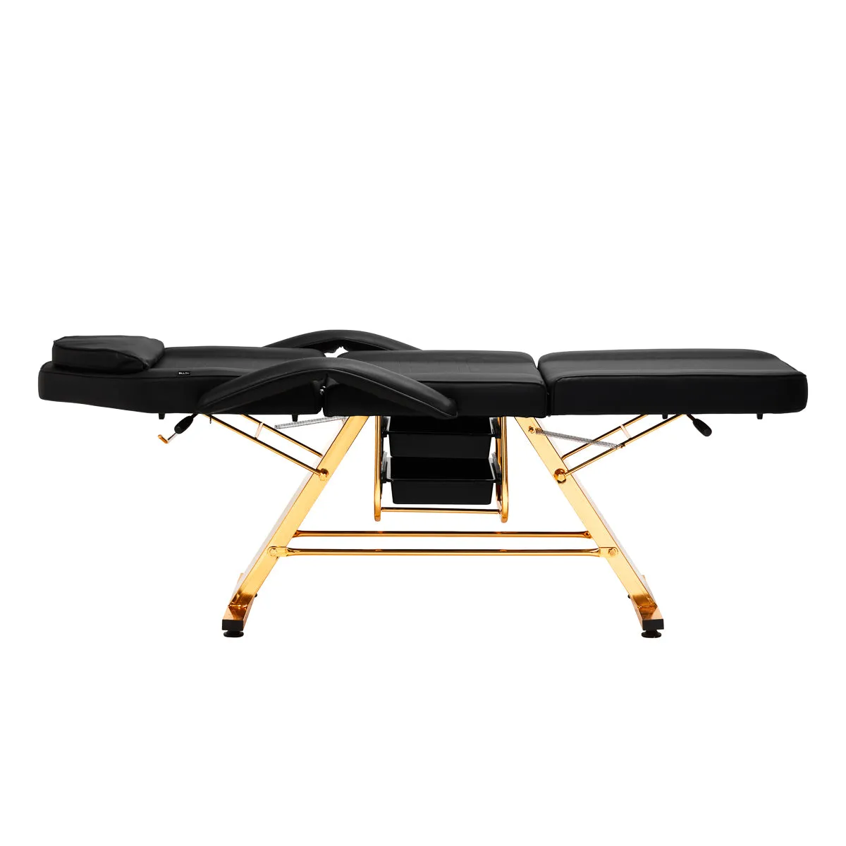 Sillon Beauty Salon Chair 202 Gold Pro Black