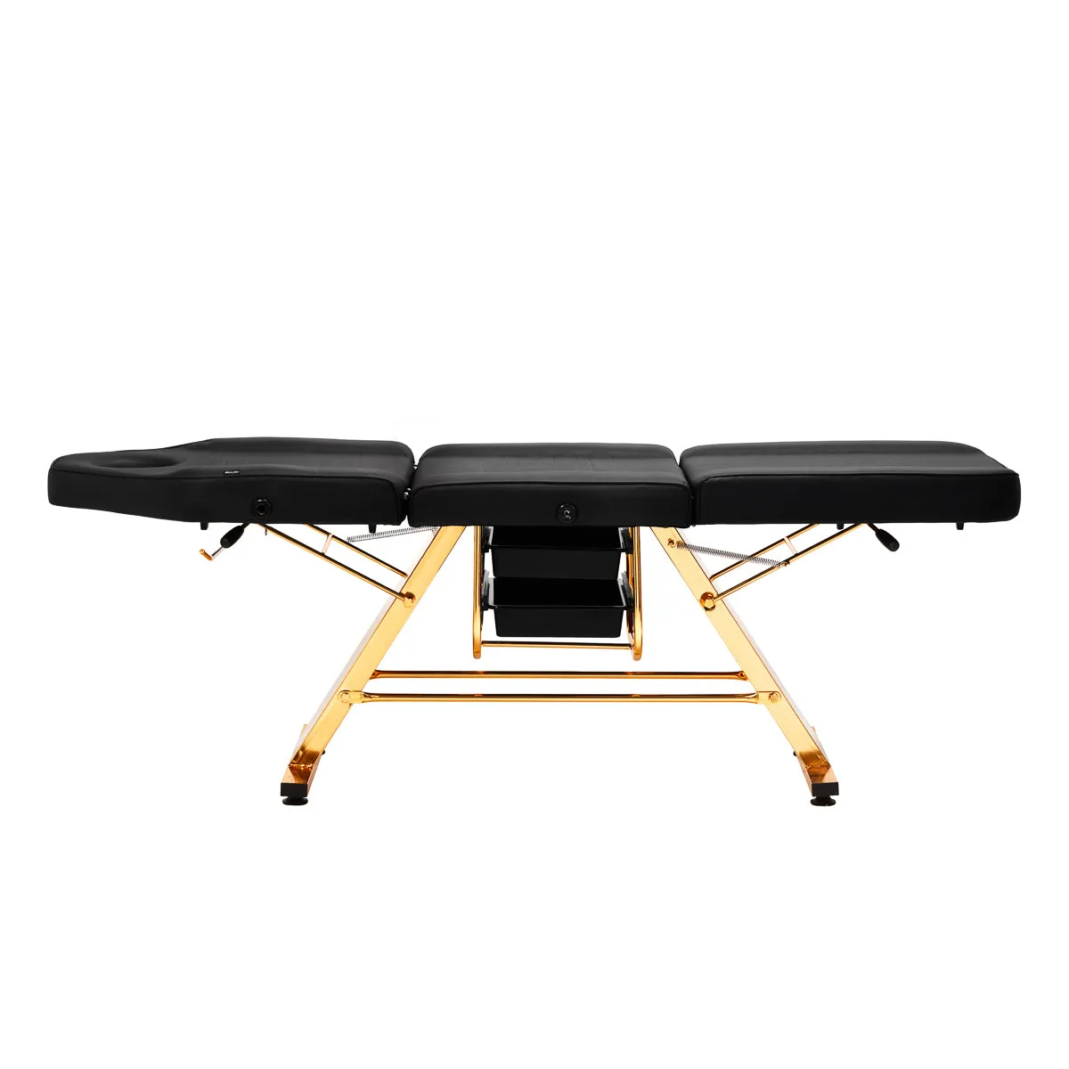 Sillon Beauty Salon Chair 202 Gold Pro Black