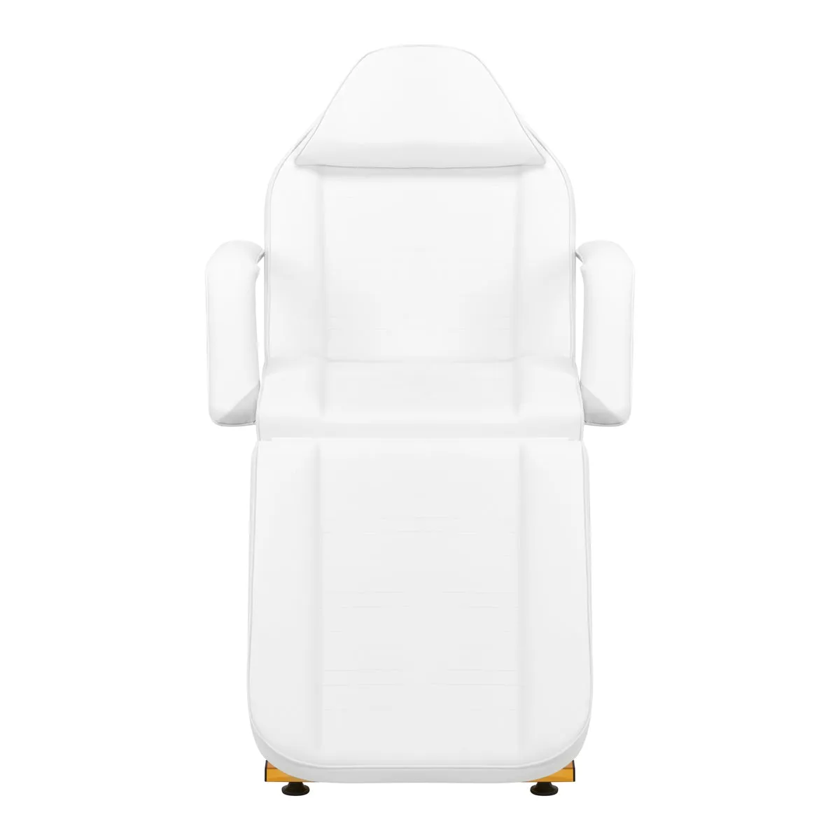 Sillon Beauty Salon Chair 202 Gold Pro White