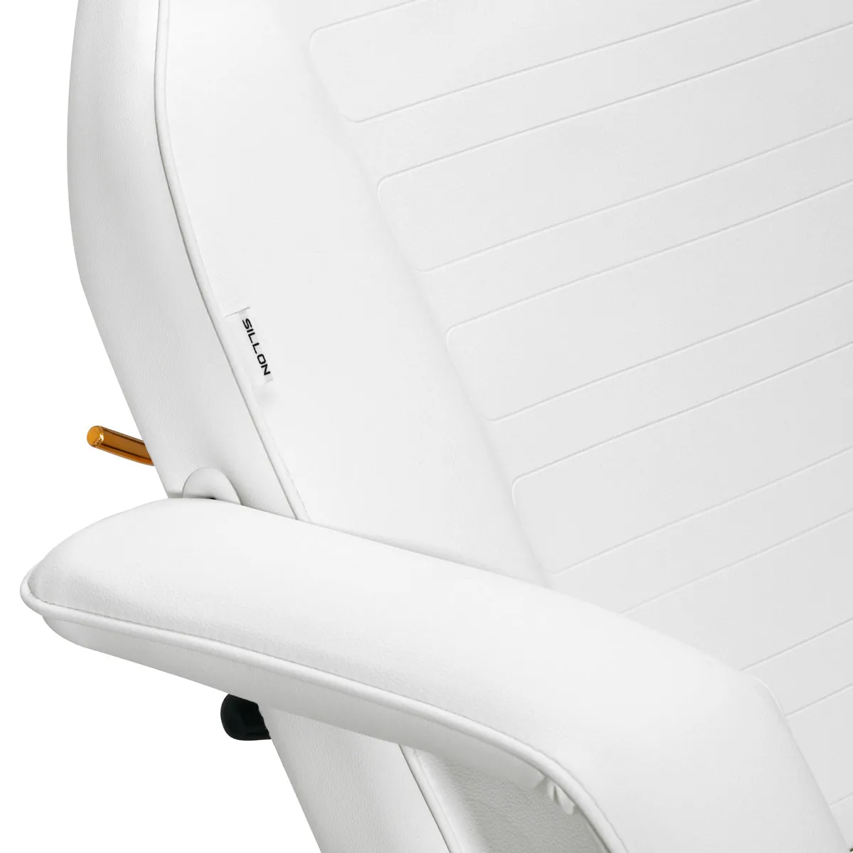 Sillon Beauty Salon Chair 202 Gold Pro White