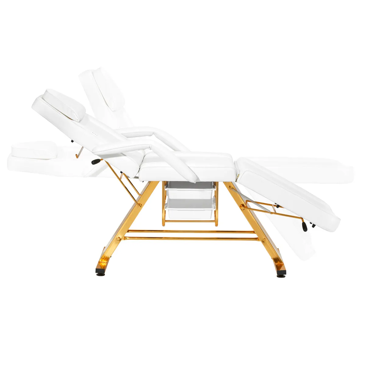 Sillon Beauty Salon Chair 202 Gold Pro White