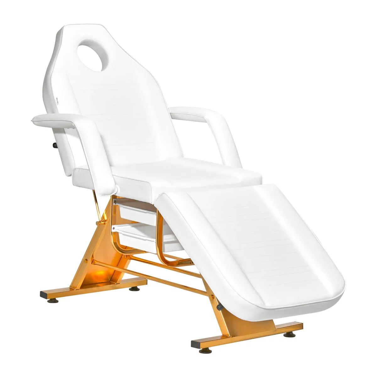 Sillon Beauty Salon Chair 202 Gold Pro White