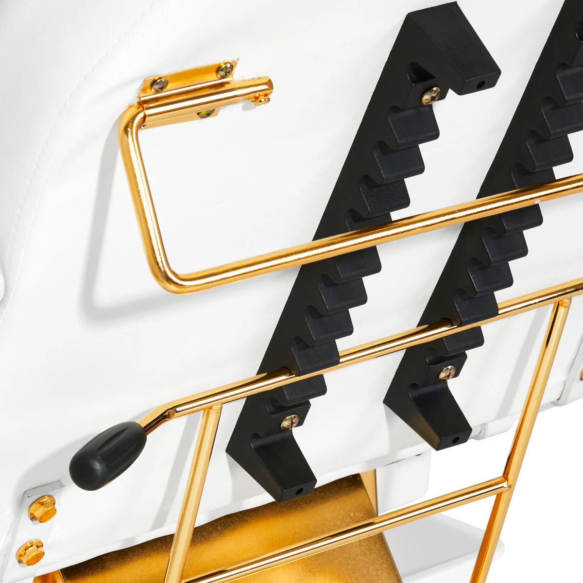 Sillon Beauty Salon Chair 202 Gold Pro White