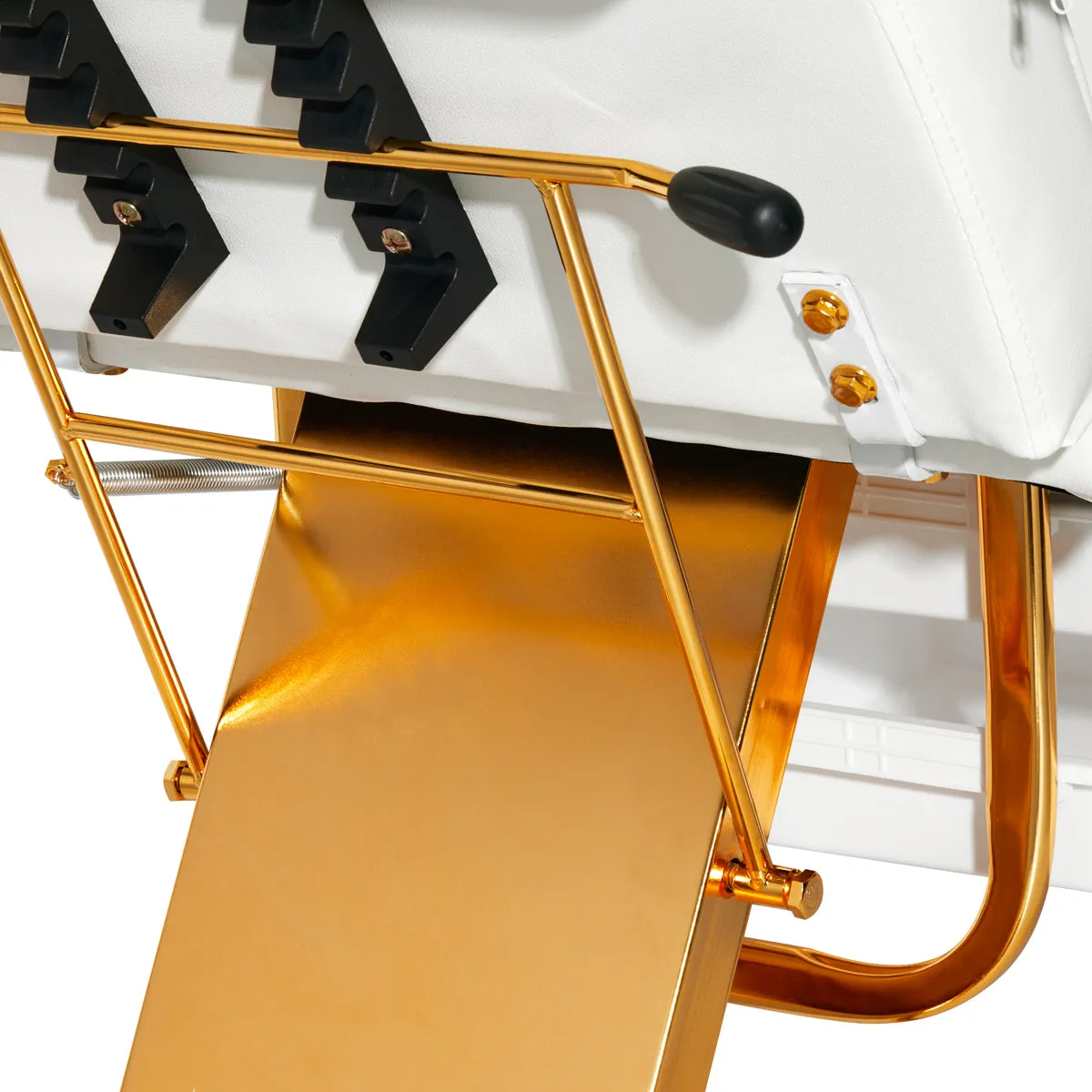 Sillon Beauty Salon Chair 202 Gold Pro White