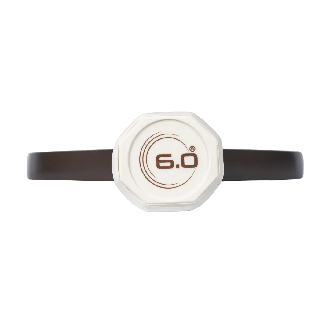 Six Zero Quartz Pickleball Paddle