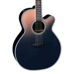 Takamine Limited Edition Series 2024 Solar System