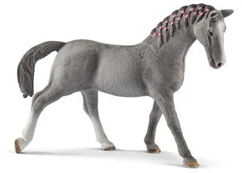 Trakehner mare
