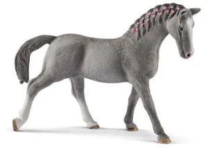 Trakehner mare