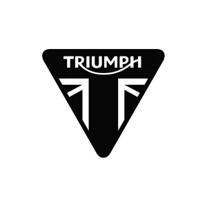 Triumph Thunderbird 900 Polished Alloy Sissy Bar/Rack
