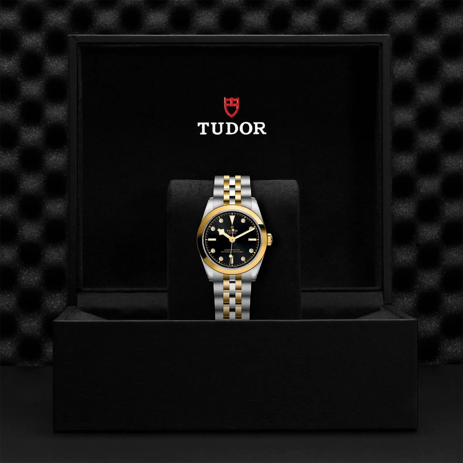TUDOR Black Bay S&G 31mm Case, Anthracite Dial, Steel & Yellow Gold Strap (M79603-0006)