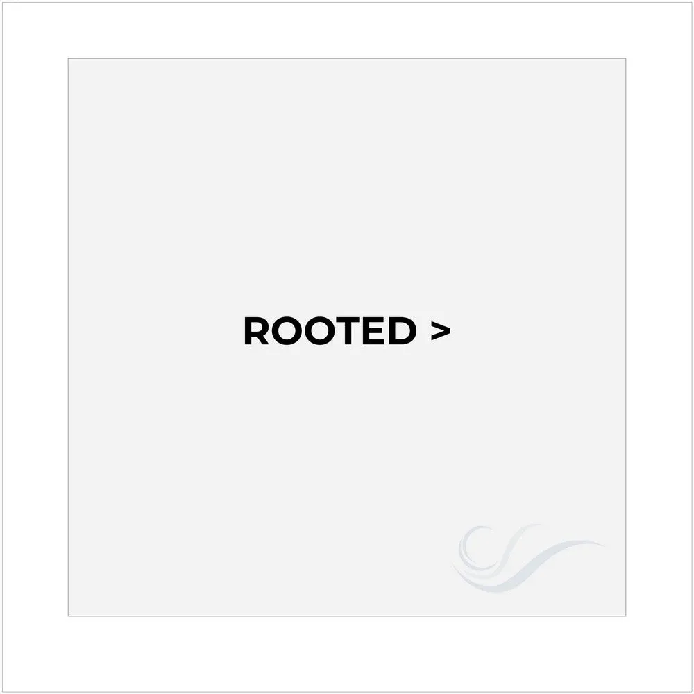 Untold Story by Raquel Welch (100% Hand Tied Lace Front-Mono Top Wig)