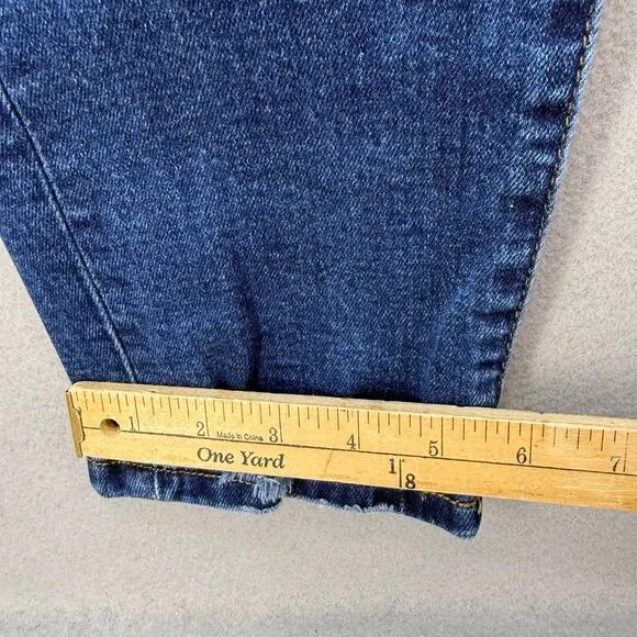 Vervet Jeans Women's 28 (6) Dark Blue Modern Love High Rise Mom Jeans Normcore