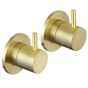 Wall Mounted Stop Valves Brushed Brass Finish – Designer Handle