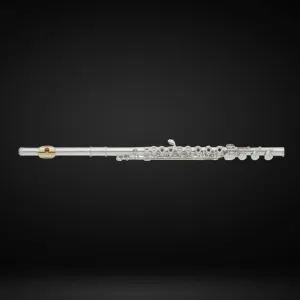 Yamaha YFL-482HGL Intermediate Flute B-Footjoint w/Gizmo Key, Gold-Plated Lip Plate & Case