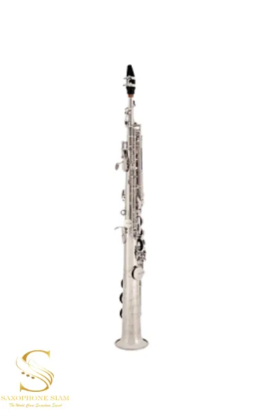 YANAGISAWA Soprano Saxophone S-WO10S